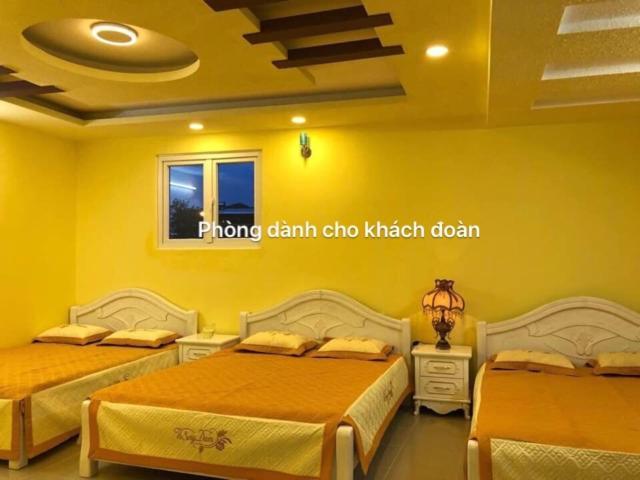 Thu Linh Guesthouse Νταλάτ Εξωτερικό φωτογραφία