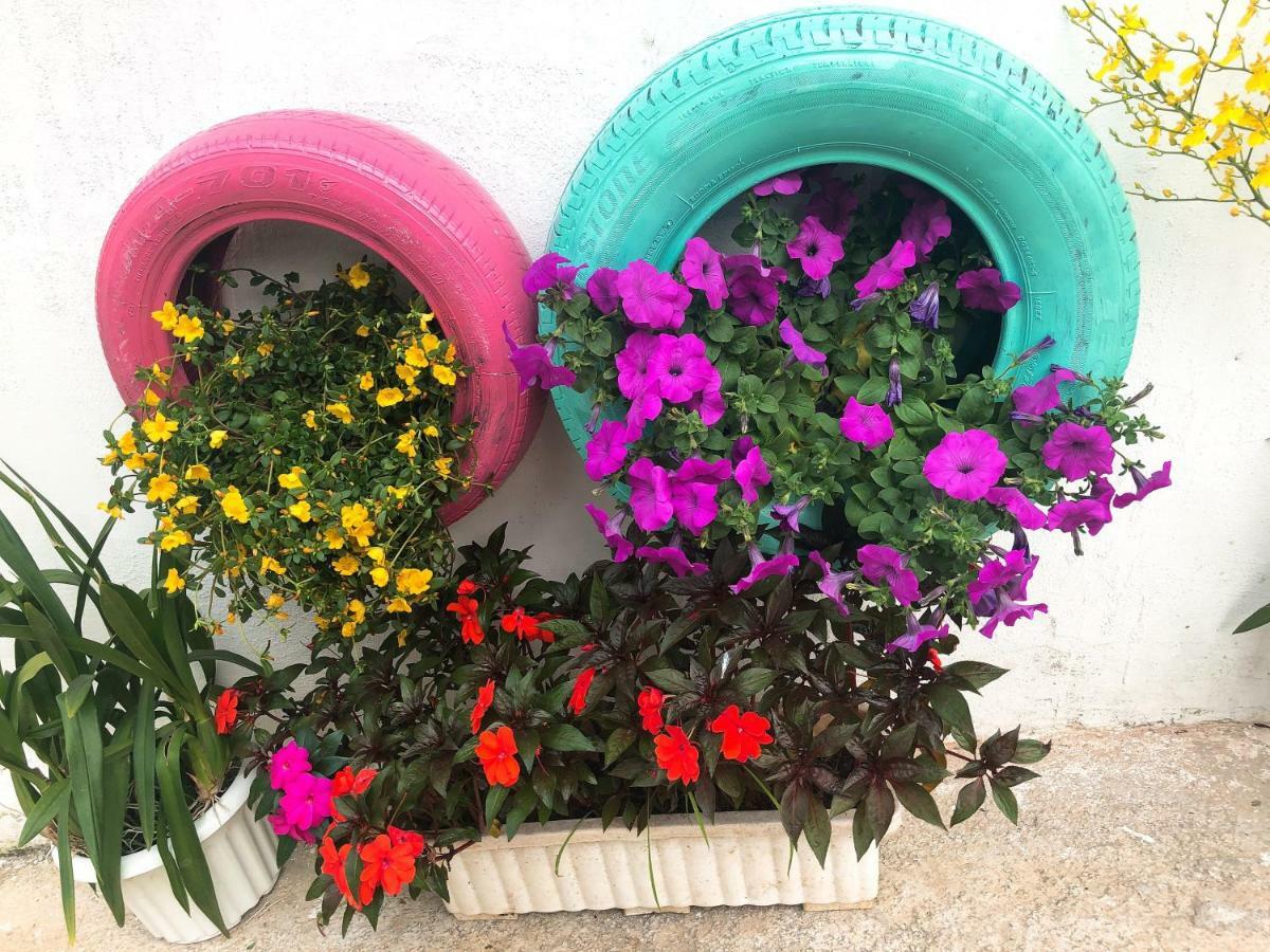 Thu Linh Guesthouse Νταλάτ Εξωτερικό φωτογραφία